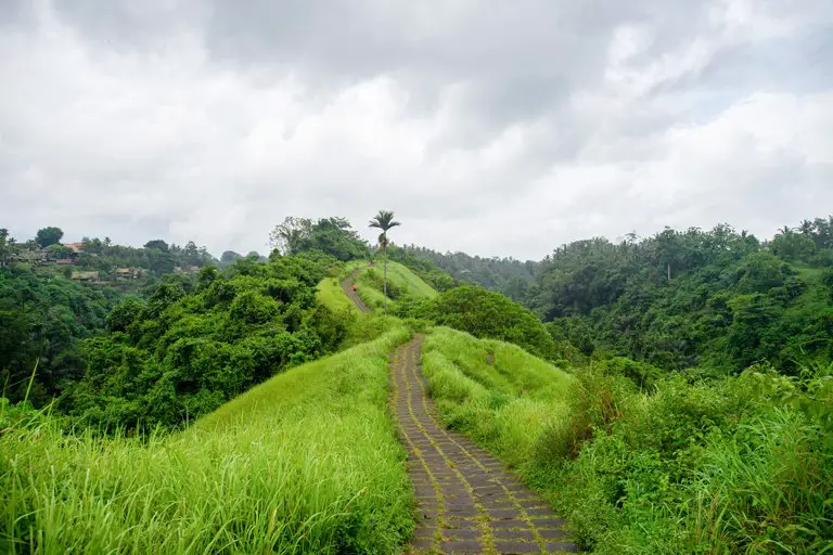 Camino entre vegetación en Campuhan, Ubud