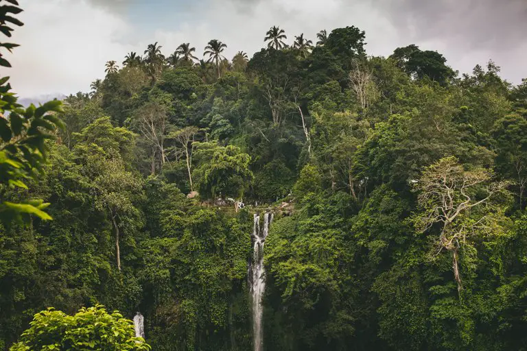La cascada Sekumpul en medio de la vegetación, Bali
