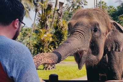 Mason Elephant Park en Taro, Bali